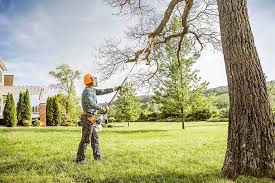 Lawn Pest Prevention in Astor, FL